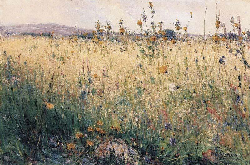 Karl Nordstrom Oat Field oil painting picture